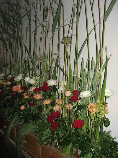 Rosenschau Unterliezheim